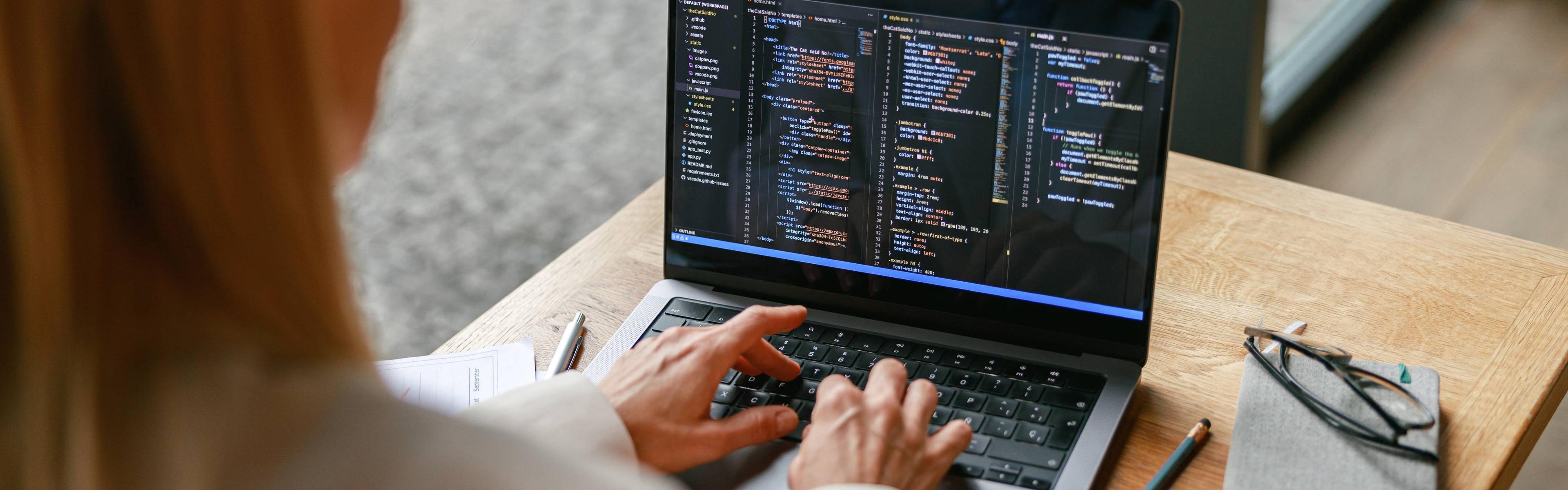 Pessoa desenvolvendo software